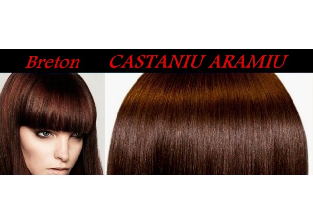 Bretoane Aplicabile Castaniu Aramiu Bretoane Aplicabile Castaniu Aramiu