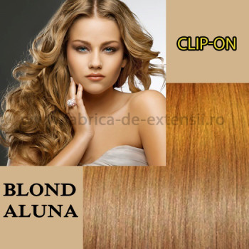 Clip-On Blond Aluna