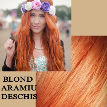 Clip-on Deluxe Blond Aramiu Deschis Clip-on Deluxe Blond Aramiu Deschis