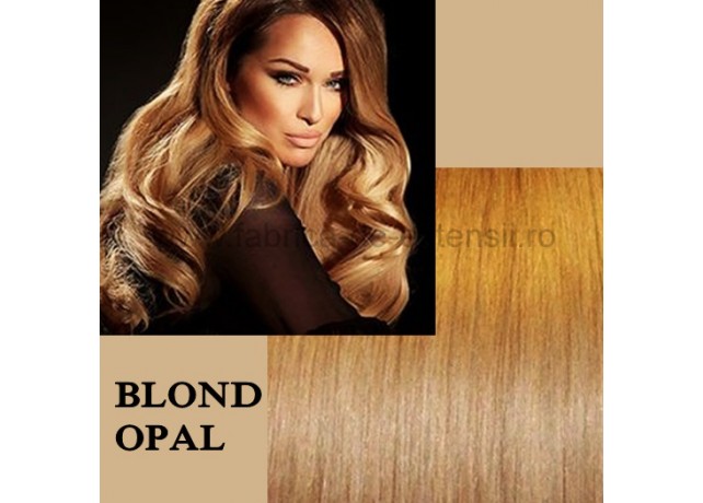 Extensii Tape IN DeLuxe Blond Opal Extensii Tape IN DeLuxe Blond Opal