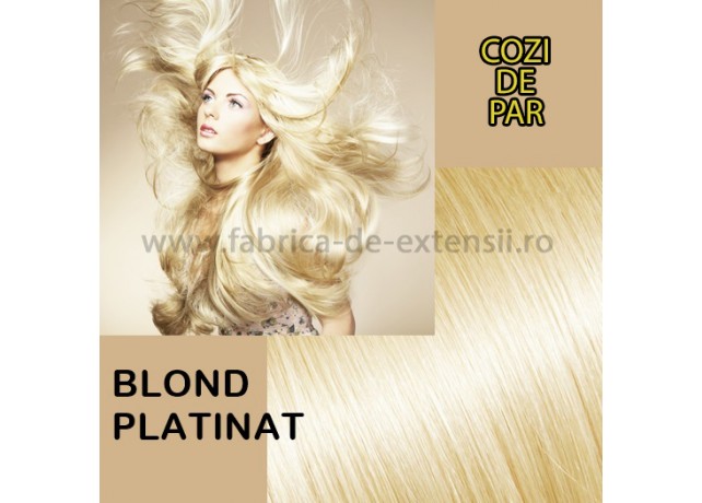 Cozi de Par Blond Platinat Cozi de Par Blond Platinat