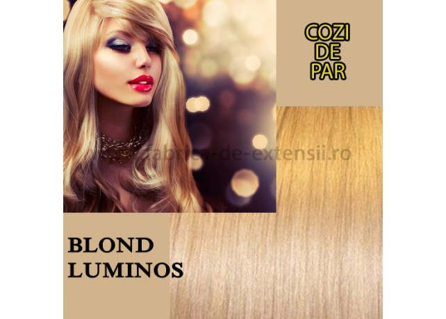 Cozi de Par Sintetice Blond Luminos Cozi de Par Sintetice Blond Luminos