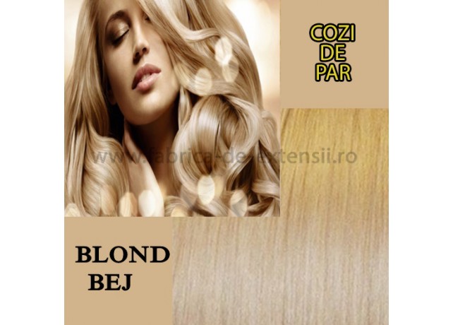 Cozi De Par Cu Dubla Intrebuintare Blond Bej Cozi De Par Cu Dubla Intrebuintare Blond Bej