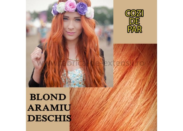 Cozi De Par Blond Aramiu Deschis Cozi De Par Blond Aramiu Deschis