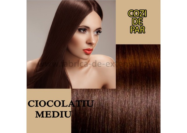 Cozi de Par cu Dubla Intrebuintare Ciocolatiu Mediu Cozi de Par cu Dubla Intrebuintare Ciocolatiu Mediu