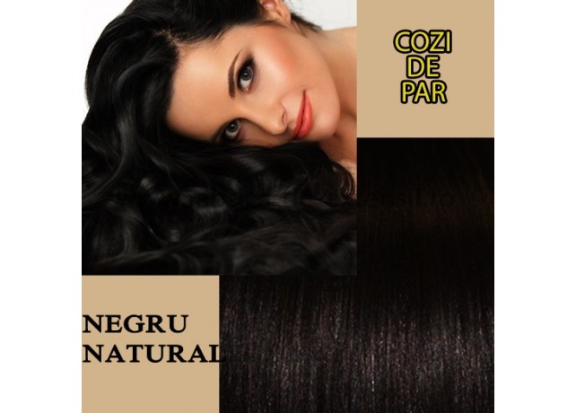 Cozi de Par Negru Natural Cozi de Par Negru Natural